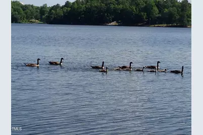 148 Buckaroo Drive, Louisburg, NC 27549 - Photo 9