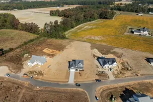 316 Little Lady Trl, Zebulon, NC 27597 - Photo 45