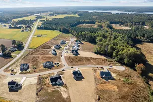 316 Little Lady Trl, Zebulon, NC 27597 - Photo 47