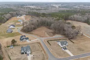 316 Little Lady Trl, Zebulon, NC 27597 - Photo 27