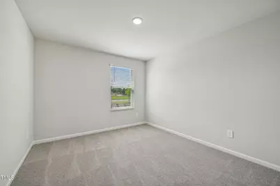 591 White Birch Lane, Angier, NC 27501 - Photo 31