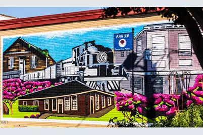 21 Silver Pine Drive, Angier, NC 27501 - Photo 51