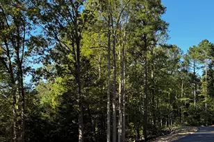 140 Noble Reserve Wy, Pittsboro, NC 27312 - Photo 1