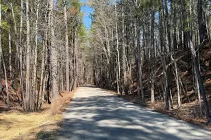 10016 Secluded Garden Dr Rd, Apex, NC 27523 - Photo 5