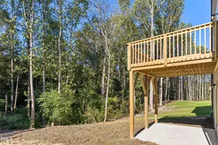 209 E American Marigold Dr, Benson, NC 27504 - Photo 25