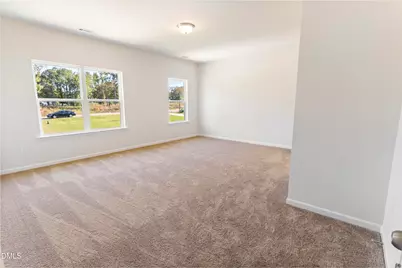 209 E American Marigold Drive, Benson, NC 27504 - Photo 23