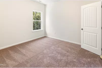 209 E American Marigold Drive, Benson, NC 27504 - Photo 29