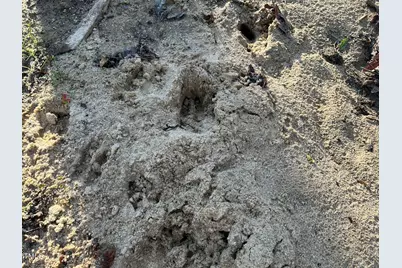 1006 Stephenson Road, Benson, NC 27504 - Photo 29