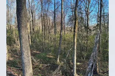 1006 Stephenson Road, Benson, NC 27504 - Photo 19