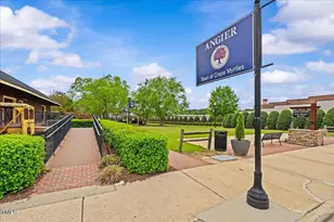 789 Old Station Pointe, Angier, NC 27501 - Photo 27
