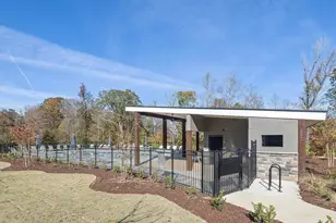 789 Old Station Pointe, Angier, NC 27501 - Photo 21