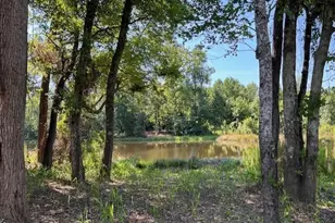 199 Pretty Run Br Ln, Wendell, NC 27591 - Photo 39