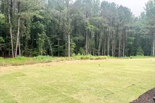 283 Golfview Ave, Benson, NC 27504 - Photo 7