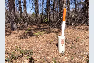 Lot 6 00 Goodman Road, Pelham, NC 27311 - Photo 27