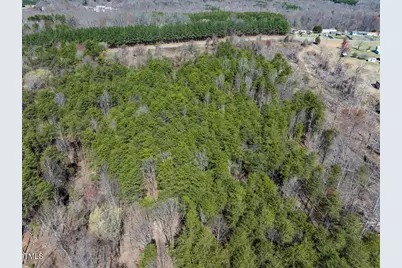 Lot 6 00 Goodman Road, Pelham, NC 27311 - Photo 23