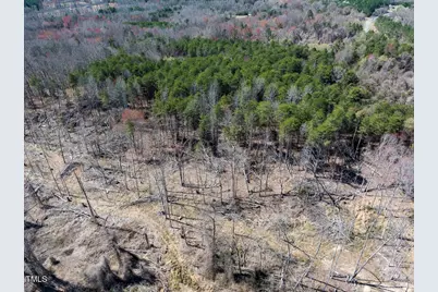 Lot 6 00 Goodman Road, Pelham, NC 27311 - Photo 37