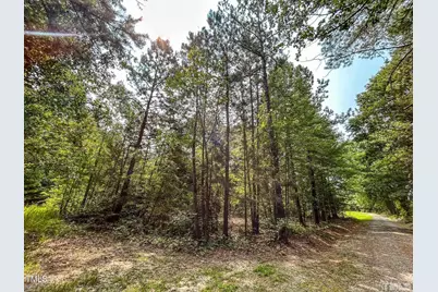Tract Bb Sonny Dawes Road, Semora, NC 27343 - Photo 5