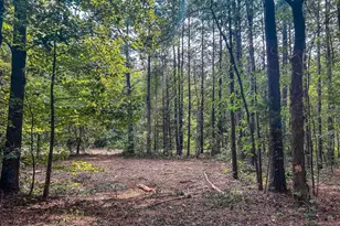Tract Bb Sonny Dawes Rd, Semora, NC 27343 - Photo 1