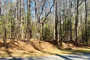 119 & 121 Osage Dr, Louisburg, NC 27549 - Photo 1