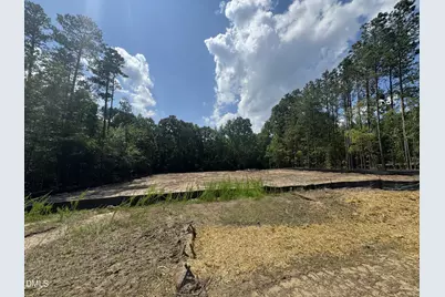 4344 Coldwater Springs Drive, Raleigh, NC 27616 - Photo 5