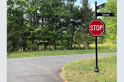 0009 Tallulah Loop Lane, Cedar Grove, NC 27231 - Photo 3