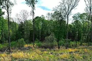 10 Conner Ridge Rd, Efland, NC 27243 - Photo 1