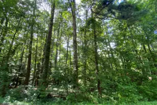 0 Phillips Dr, Sanford, NC 27330 - Photo 1