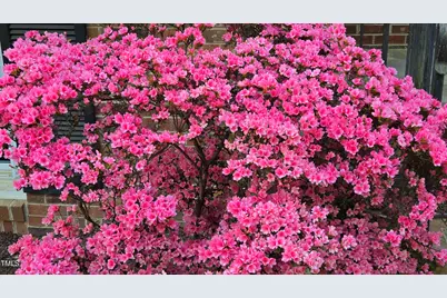 505 Forest Road, Oxford, NC 27565 - Photo 31