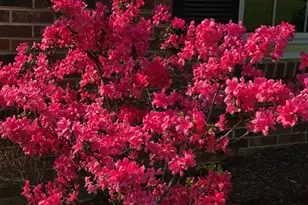 505 Forest Rd, Oxford, NC 27565 - Photo 29