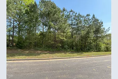 123 Bur Oak Court, Pittsboro, NC 27312 - Photo 1