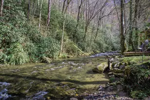 4989 W Buffalo Rd, Robbinsville, NC 28771 - Photo 43