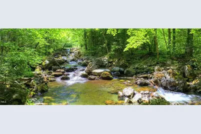 164 Blufftonwood Drive #35, Pittsboro, NC 27312 - Photo 3