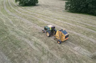 508 Eaton Ave, Warrenton, NC 27589 - Photo 19