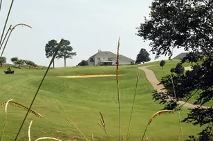 263 Bluejay St, Clayton, NC 27520 - Photo 19