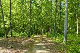 75 Acorn Dr, Clarksville, VA 23927 - Photo 39