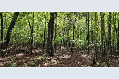 Tbd Mill Creek Road, Cedar Grove, NC 27231 - Photo 7