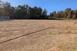 473 Sweet Potato Ln, Nashville, NC 27856 - Photo 19