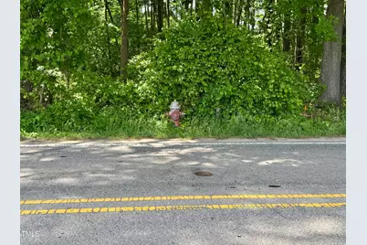 1821 S Mineral Springs Road, Durham, NC 27703 - Photo 7