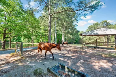 206 Kittys Lane, Erwin, NC 28339 - Photo 37