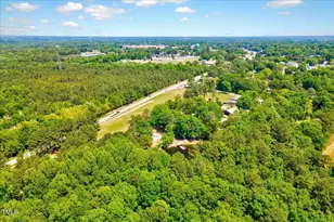 206 Kittys Ln, Erwin, NC 28339 - Photo 45