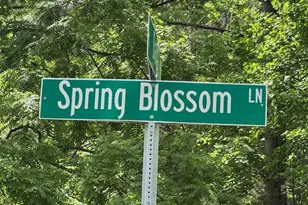 103 Spring Blossom Ln, Durham, NC 27705 - Photo 1