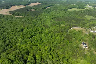 Lot 5 Mudlee Dr, Hurdle Mills, NC 27541 - Photo 1