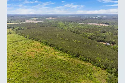 0 S Plank (Track 2) Road, Sanford, NC 27330 - Photo 31