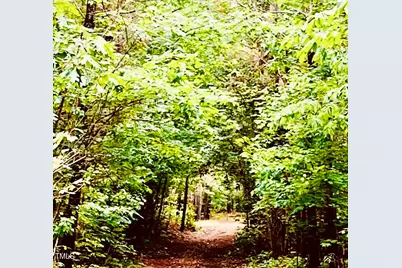 0 S Plank (Track 2) Road, Sanford, NC 27330 - Photo 33