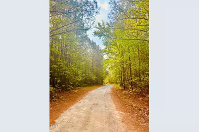 0 S Plank (Track 2) Road, Sanford, NC 27330 - Photo 35