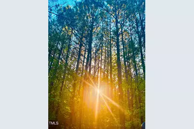 0 S Plank (Track 2) Road, Sanford, NC 27330 - Photo 37