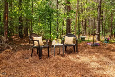 0 S Plank (Track 2) Road, Sanford, NC 27330 - Photo 3