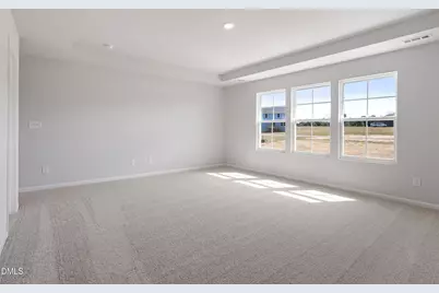 272 Alice Trace Place, Angier, NC 27501 - Photo 21