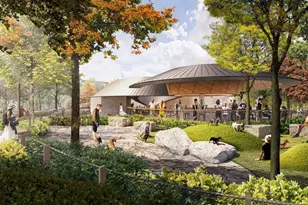 200 Byrum St, Cary, NC 27511 - Photo 21