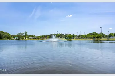 248 Alice Trace Place, Angier, NC 27501 - Photo 23